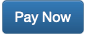 Pay Now portal button