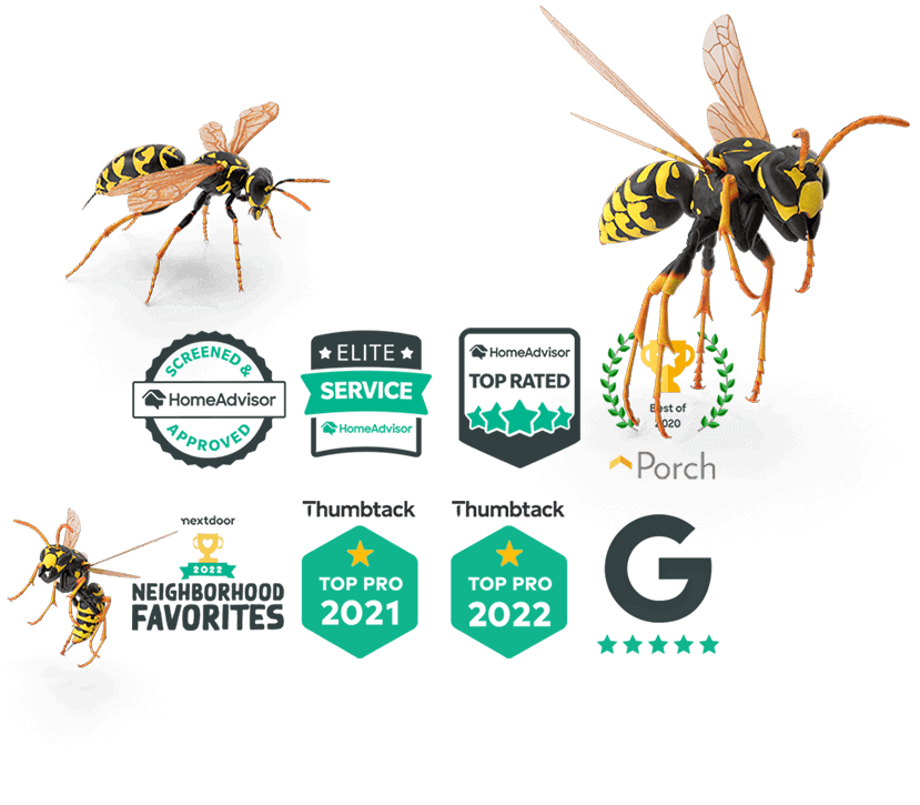 Mobile header top rated wasps