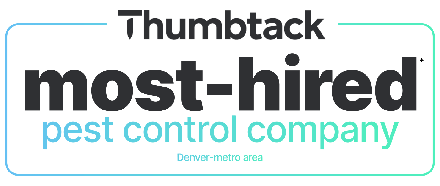 Most-hired pest control of the Denver-metro area on Thumbtack.com