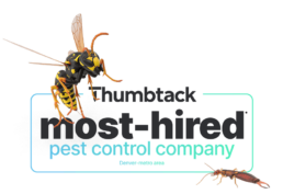 Most-hired pest control of the Denver-metro area on Thumbtack.com mobile