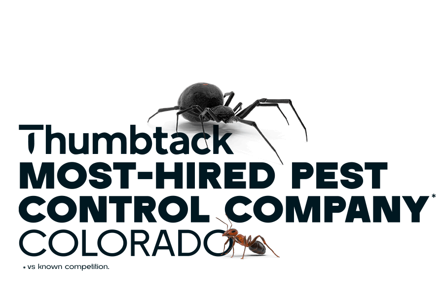Thumback.com's most-hired pest control company in Colorado